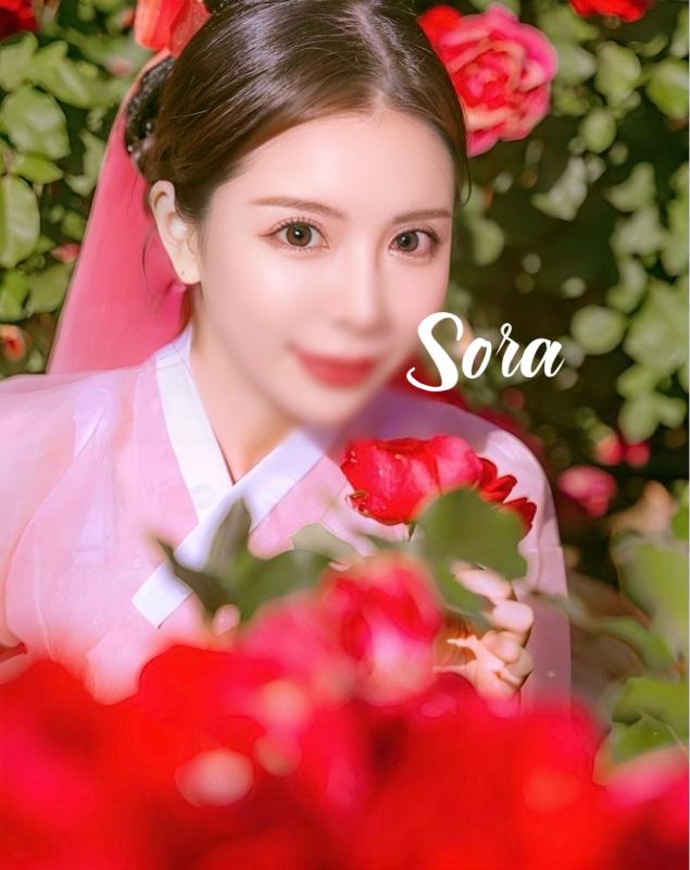 Luxury Escort Sora | Made In Japan