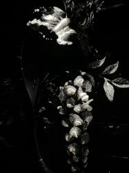 Luxury Escort Emi | Made In Japan