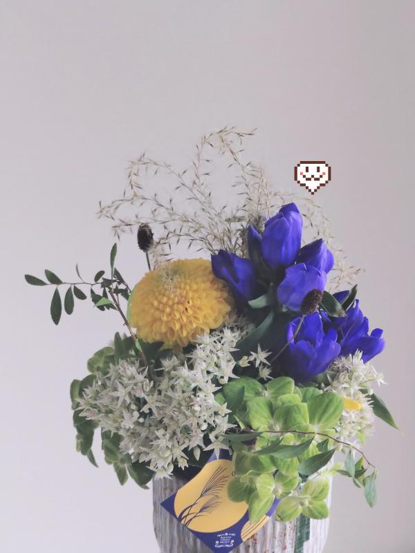 Luxury Escort Soyoka | Made In Japan