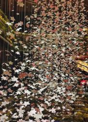 Luxury Escort Soyoka | Made In Japan