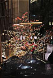 Luxury Escort Aya | Made In Japan