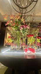 Luxury Escort Maika | Made In Japan